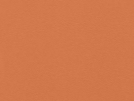 Importer leather 88 leathercollection 系列 真皮 牛皮 沙發皮革 8829 荷蘭橙